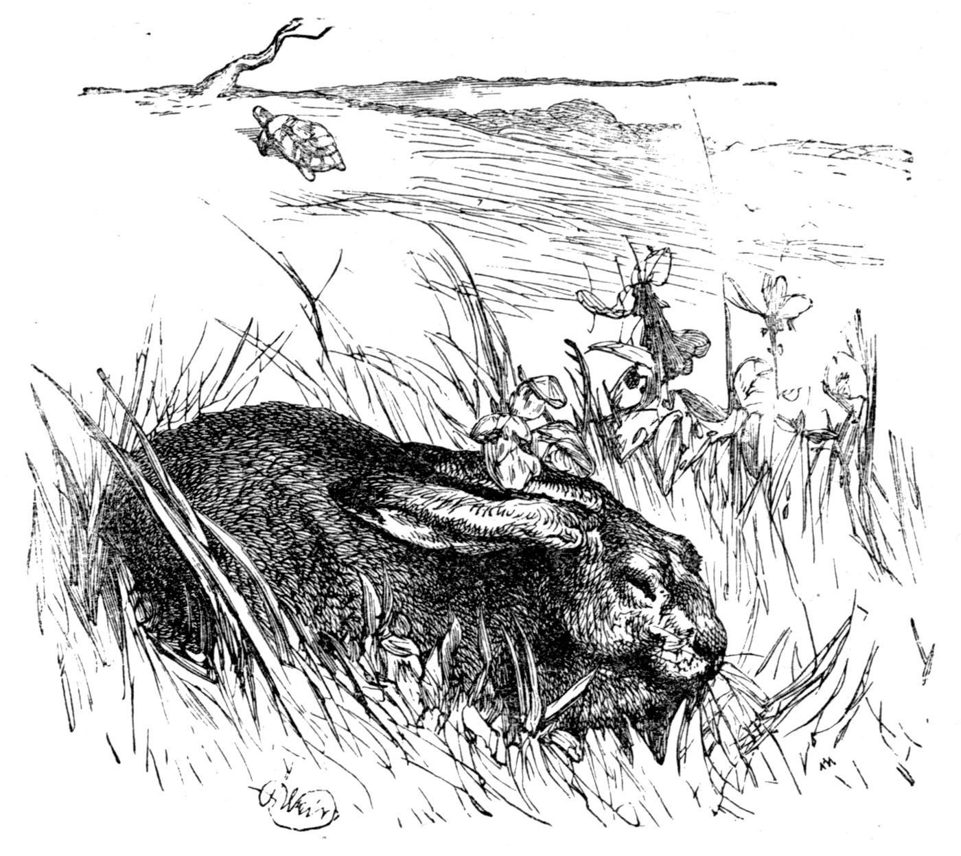 The hare asleep in the grass while the tortoise plods on in the distance, an engraving by Harrison Weir